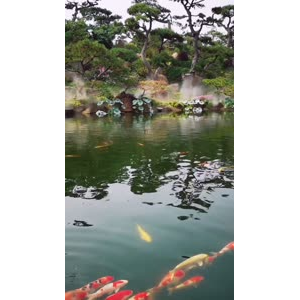 风景1396