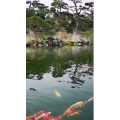 风景1396