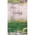 风景1397