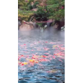 风景1400