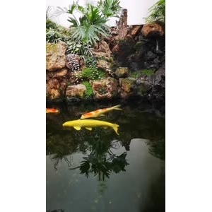 风景1405