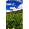 风景1421