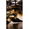 风景1433