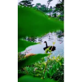 风景1440