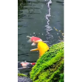 风景1446