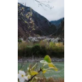 风景1454