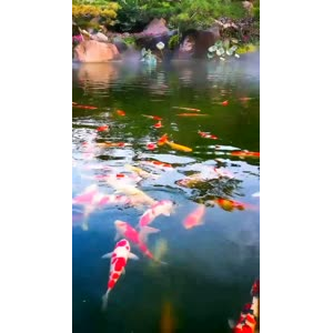风景1463