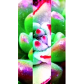 风景1469