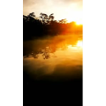风景1472