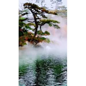 风景1493