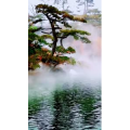 风景1493