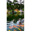 风景1496