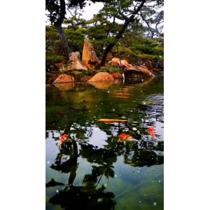 风景1503