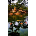 风景1503