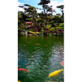 风景1512