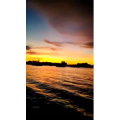 风景1519