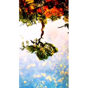 风景1524