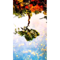 风景1524