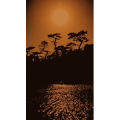 风景1528