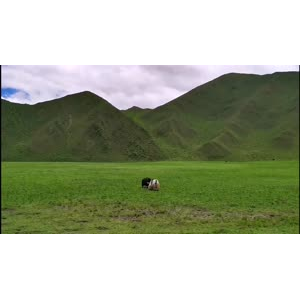 风景1531
