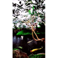 风景1536