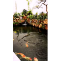 风景1538