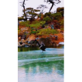 风景1539
