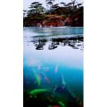 风景1540