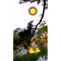 风景1541
