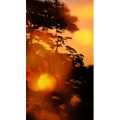 风景1543
