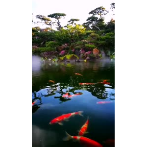 风景1544