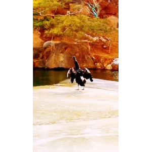 风景1548