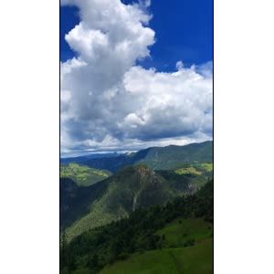 风景1553