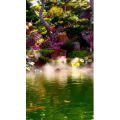 风景1557
