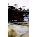 风景1560