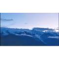 风景1564