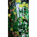 风景1576