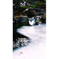 风景1595