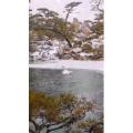 风景1607
