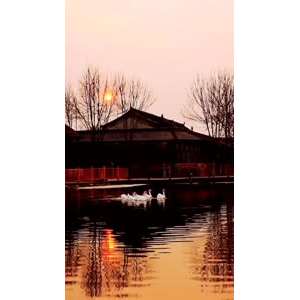 风景1627