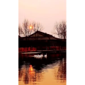 风景1627