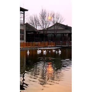 风景1632