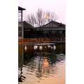 风景1632