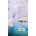 风景1635