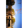 风景1658