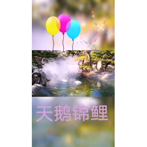 风景1666