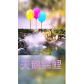风景1666
