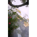 风景1675
