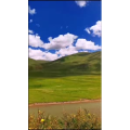 风景1696