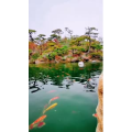 风景1701